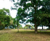 Banahaw Park